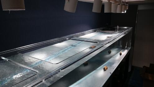 大型水槽　　＜商談中＞ アクリル製大型水槽 | 日本サカス株式会社